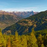 Il Gran Bosco e la Valle di Susa